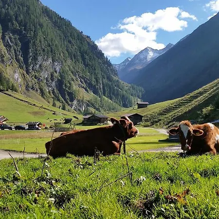 Ursprung Panorama Hotel Konigsleiten